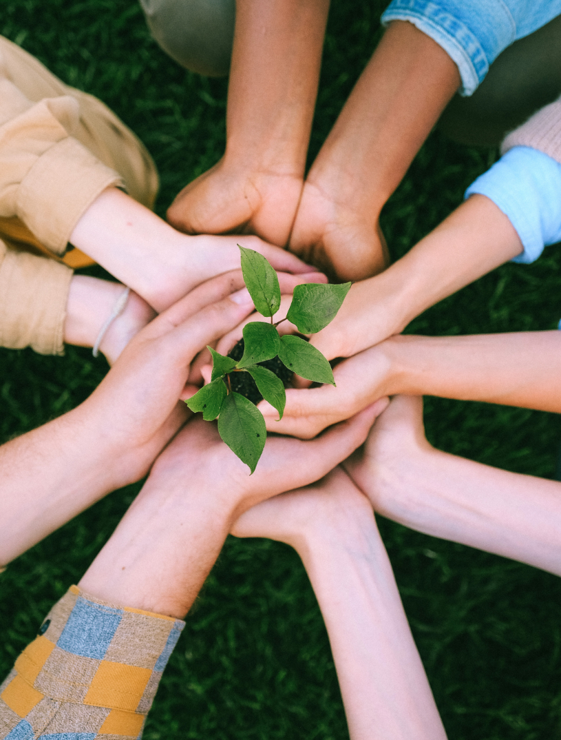 Image of many hands holding a small pot of plant